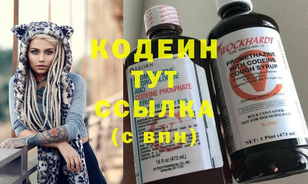 прущие грибы Белокуриха
