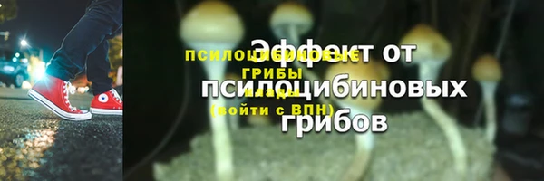 гашик Балахна