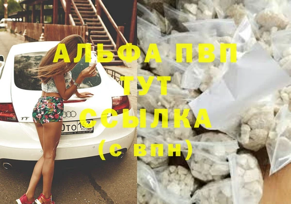 стафф Баксан